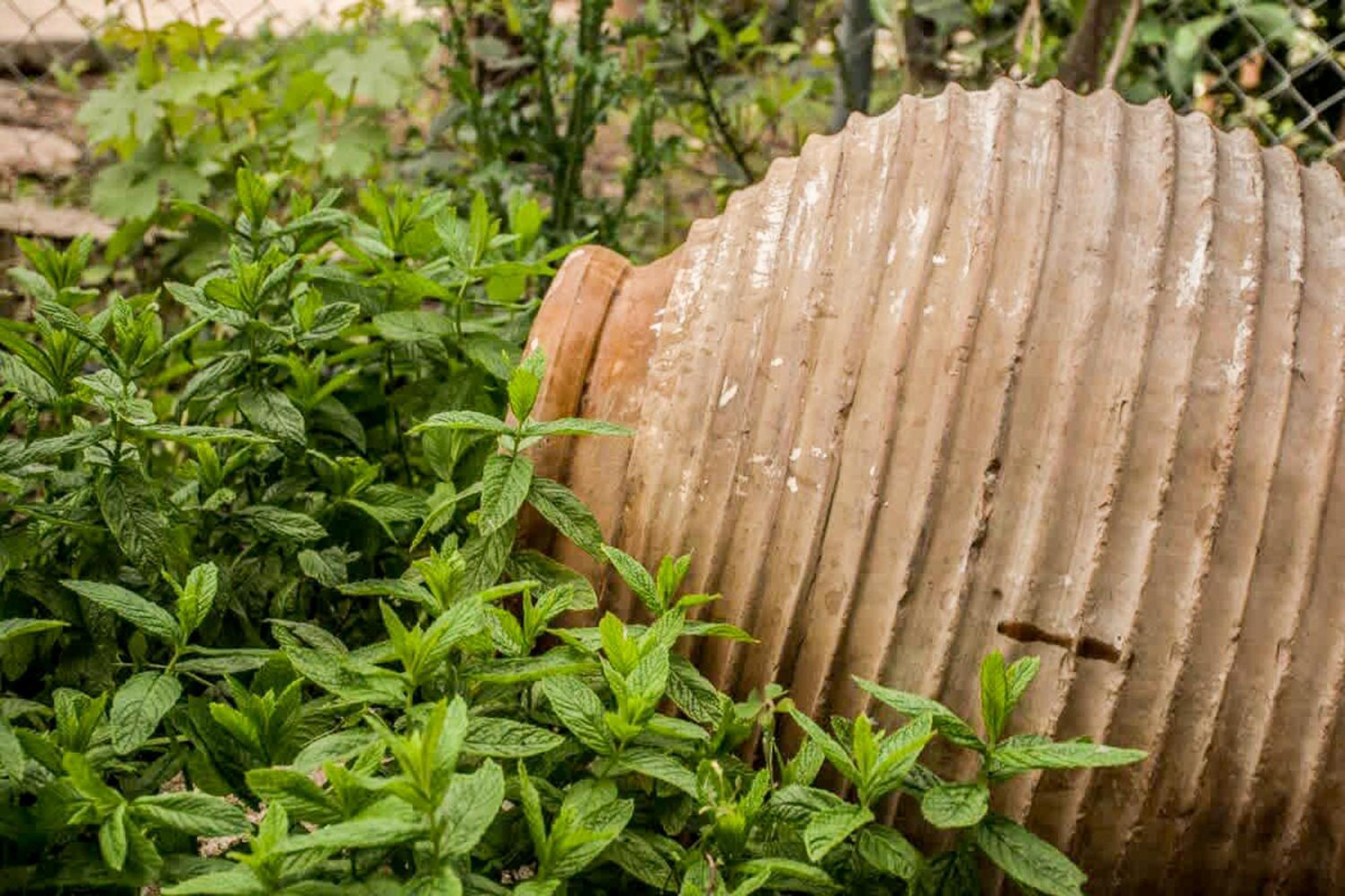 Apartment Marina's Garden Nests - Bliss Getaways